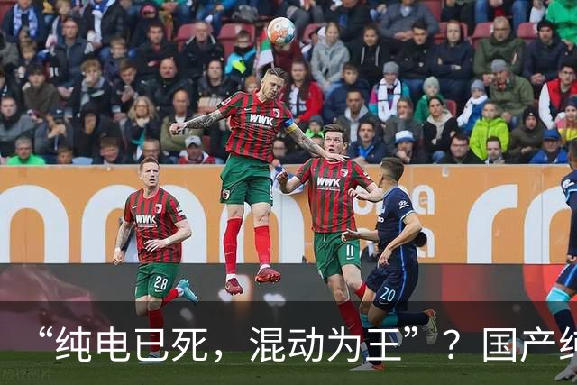 “纯电已死，混动为王”？国产纯电车企，或只剩最后1家了