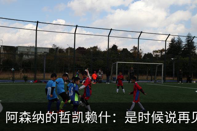 阿森纳的哲凯赖什：是时候说再见了吗？